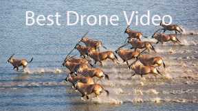 Best Drone Video of 2018 and 2019 in 4K UHD. Namibia, Botswana and South Africa.