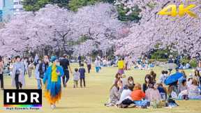 4K HDR // Tokyo Sakura 2022 - Shinjuku Gyoen National Garden