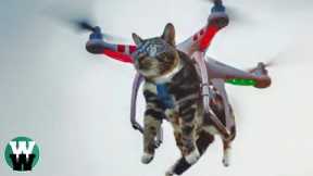 10 STUPID Things People Have Done with DRONES!