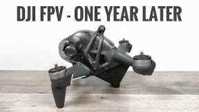 DJI FPV Drone One Year Later - Long Term Review