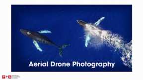 PPAedu Preview: Aerial Drone Photography: Where Do I Begin?