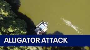 Drone captures moment alligator attacks swimmer in Florida lake