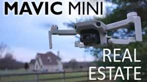 Can the Mavic Mini be Used Professionally for Real Estate Photography?