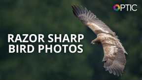 Matt Kloskowski: Fast Action, Razor Sharp Bird Photography | #BHOPTIC