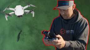 The Best Fish Finder is ... A DRONE ?!?!?!?!