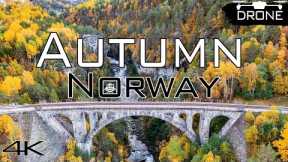 Autumn in Norway - Cinematic Drone Video, 4k
