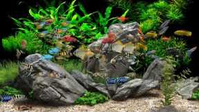Dream Aquarium - 2 Hours - 8 Tanks (4K)