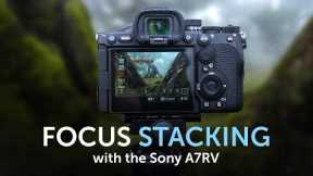 Focus Stacking with the Sony A7RV