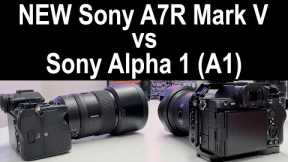 NEW Sony a7R V vs Sony A1 | Full Comparison