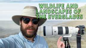 Landscape and Bird Photography in the Everglades - Part 1