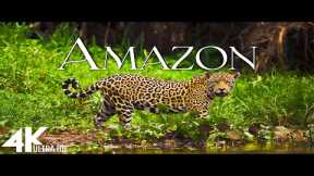 FLYING OVER AMAZON (4K Video UHD) - Scenic Relaxation Film With Inspiring Music