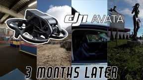DJI AVATA | CAN YOU MAKE MONEY WITH IT?