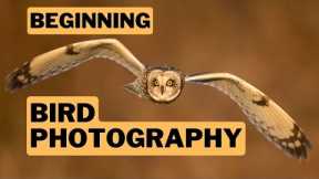 Beginning Bird Photography: Finding birds, camera settings, AF, camera and lens