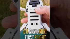 DJI Mavic MINI Flight Test Review IN-DEPTH Pros & Cons CRASH TEST EP3