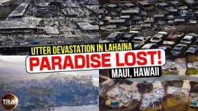 PARADISE LOST: At Least 80 Dead On Maui As Aerial Footage Shows UTTER DEVASTATION In Lahaina!