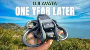 DJI Avata Long-Term Review After One Year of Flights