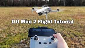 Getting Started with the DJI Mini 2 - Flight Tutorial (Pt. 2 of 2)