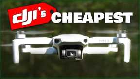 Is the DJI Mini 2 SE Just Cheap, or Worth Buying?