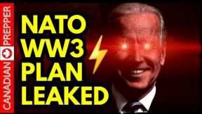 ⚡ALERT: NATO WILL ENTER UKRAINE SOON, AUSTIN DOWN! TRUMP WAR PANIC,  CRYPTIC BIDEN, DRAFT REVOLT