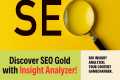Unlock SEO Gold: How Insight Analyzer 