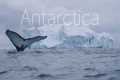 ANTARCTICA - The Frozen Continent -