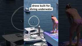 This Drone Is A Professional Cliff Diver 🤿