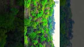 DJI Mini 4K Drone// drone shoot video DJI Mini 4K // #drone #shorts  #dji