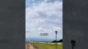Top 3 Scariest Things About Drone Strikes#military#usaf#usnavy#drone#russia#ukraine#tu95#spiderweb